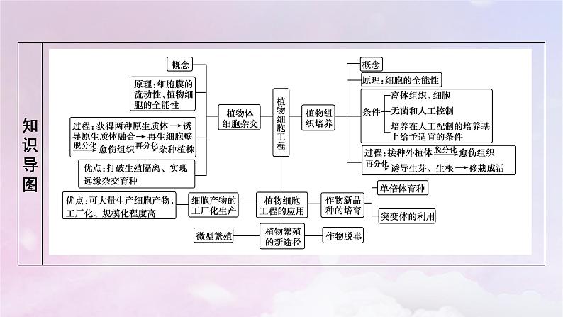 新教材2023年高中生物第2章细胞工程第1节植物细胞工程1植物细胞工程的基本技术课件新人教版选择性必修3第4页