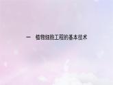 新教材2023年高中生物第2章细胞工程第1节植物细胞工程1植物细胞工程的基本技术课件新人教版选择性必修3