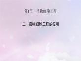 新教材2023年高中生物第2章细胞工程第1节植物细胞工程2植物细胞工程的应用课件新人教版选择性必修3
