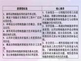 新教材2023年高中生物第2章细胞工程第2节动物细胞工程1动物细胞培养课件新人教版选择性必修3