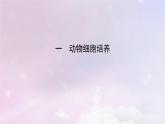 新教材2023年高中生物第2章细胞工程第2节动物细胞工程1动物细胞培养课件新人教版选择性必修3