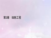 新教材2023年高中生物第2章細(xì)胞工程第3節(jié)胚胎工程1胚胎工程的理論基礎(chǔ)課件新人教版選擇性必修3