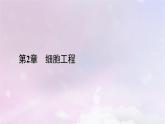 新教材2023年高中生物第2章细胞工程第3节胚胎工程2胚胎工程技术及其应用课件新人教版选择性必修3