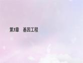 新教材2023年高中生物第3章基因工程本章整合课件新人教版选择性必修3