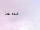 新教材2023年高中生物第3章基因工程第1节重组DNA技术的基本工具课件新人教版选择性必修3