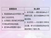 新教材2023年高中生物第3章基因工程第1节重组DNA技术的基本工具课件新人教版选择性必修3