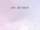 新教材2023年高中生物第3章基因工程第3节基因工程的应用课件新人教版选择性必修3
