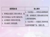 新教材2023年高中生物第3章基因工程第3节基因工程的应用课件新人教版选择性必修3