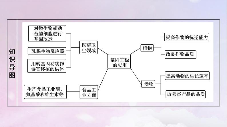 新教材2023年高中生物第3章基因工程第3节基因工程的应用课件新人教版选择性必修304