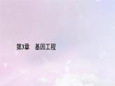 新教材2023年高中生物第3章基因工程第4节蛋白质工程的原理和应用课件新人教版选择性必修3