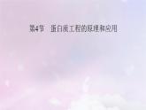 新教材2023年高中生物第3章基因工程第4节蛋白质工程的原理和应用课件新人教版选择性必修3