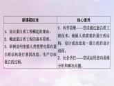 新教材2023年高中生物第3章基因工程第4节蛋白质工程的原理和应用课件新人教版选择性必修3