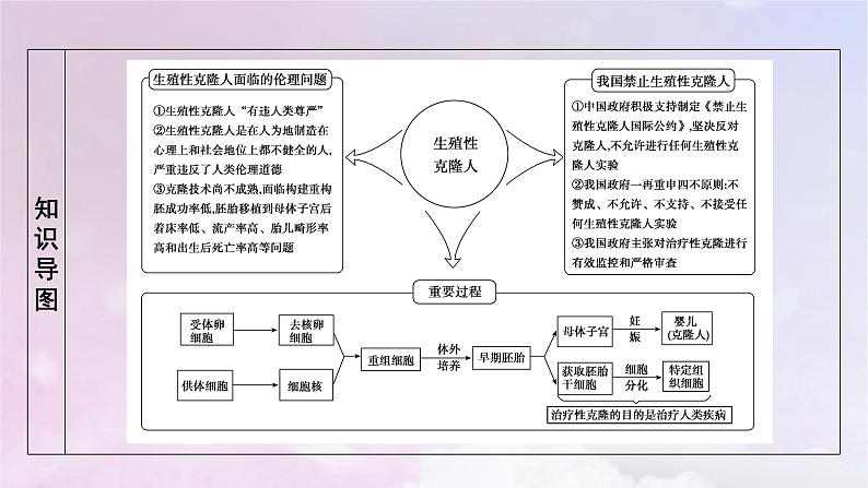 新教材2023年高中生物第4章禁止生物武器第2节关注生殖性克隆人课件新人教版选择性必修3第4页