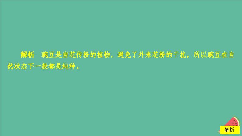 2023年新教材高中生物第1章遗传因子的发现第1节孟德尔的豌豆杂交实验一第1课时一对相对性状的杂交实验过程和解释课时精练课件新人教版必修2第3页