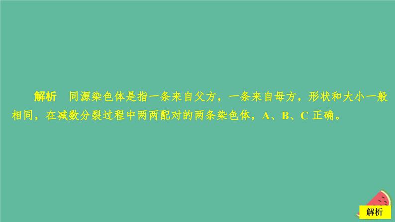 2023年新教材高中生物第2章基因和染色体的关系第1节减数分裂和受精作用第1课时精子的形成过程课时精练课件新人教版必修2第3页