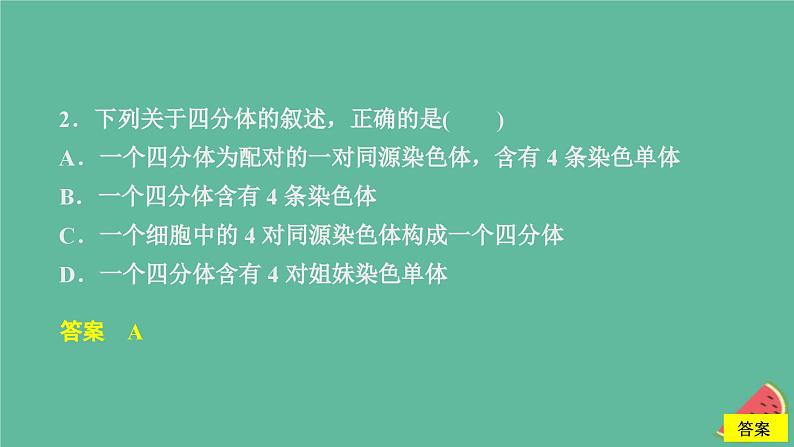 2023年新教材高中生物第2章基因和染色体的关系第1节减数分裂和受精作用第1课时精子的形成过程课时精练课件新人教版必修2第4页