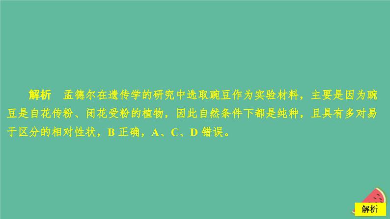 新教材2023版高中生物第1章遗传因子的发现第1节孟德尔的豌豆杂交实验一第1课时一对相对性状的杂交实验过程和解释课件新人教版必修204