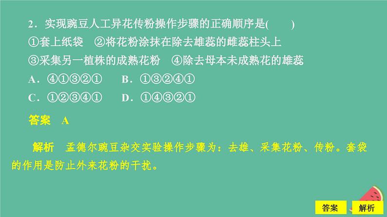 新教材2023版高中生物第1章遗传因子的发现第1节孟德尔的豌豆杂交实验一第1课时一对相对性状的杂交实验过程和解释课件新人教版必修205