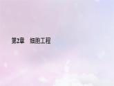 新教材2023年高中生物第2章细胞工程第2节动物细胞工程2动物细胞融合技术与单克鹿体课件新人教版选择性必修3