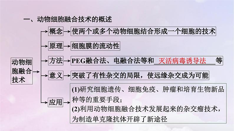 新教材2023年高中生物第2章细胞工程第2节动物细胞工程2动物细胞融合技术与单克鹿体课件新人教版选择性必修305