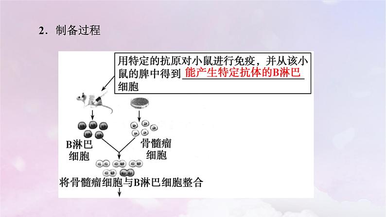 新教材2023年高中生物第2章细胞工程第2节动物细胞工程2动物细胞融合技术与单克鹿体课件新人教版选择性必修308