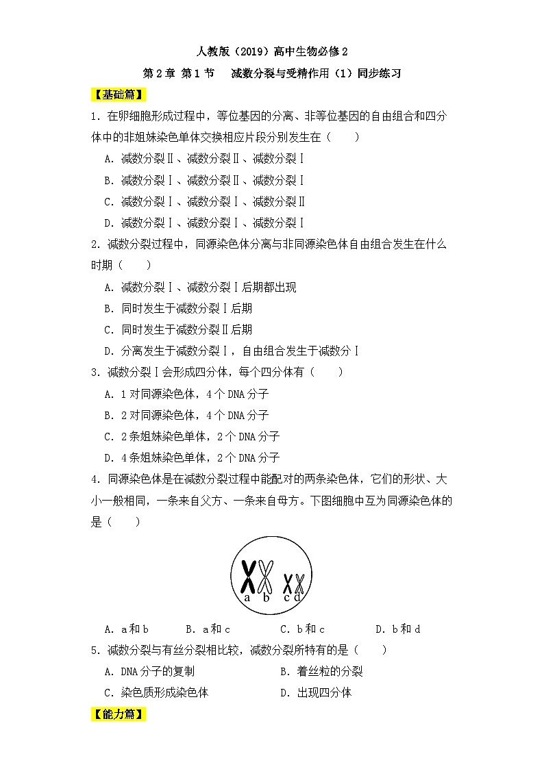 人教版高中生物必修二2.1.1减数分裂与受精作用课件与同步练习（含答案解析）01