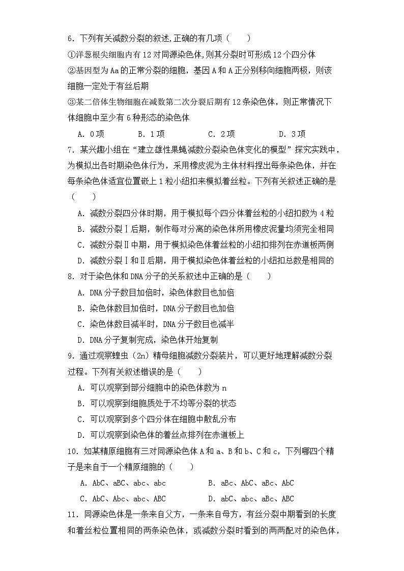 人教版高中生物必修二2.1.1减数分裂与受精作用课件与同步练习（含答案解析）02