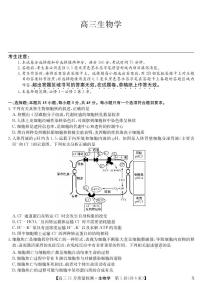 安徽省九师联盟2024届高三11月质量检测 生物试卷及参考答案