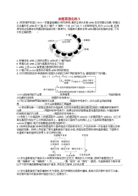 适用于老高考旧教材2024版高考生物二轮复习命题篇强化练5遗传的分子基础变异与进化（附解析）