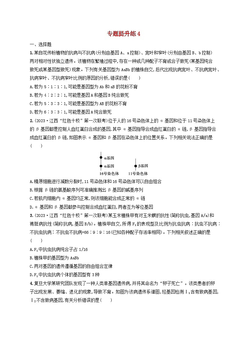 适用于老高考旧教材2024版高考生物二轮复习专题提升练4遗传的基本规律与伴性遗传含人类遗传病（附解析）第1页