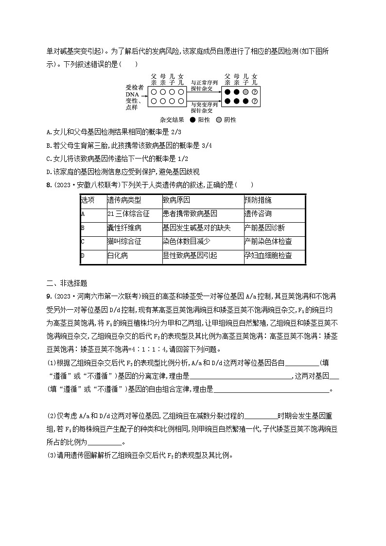 适用于老高考旧教材2024版高考生物二轮复习专题提升练4遗传的基本规律与伴性遗传含人类遗传病（附解析）第3页