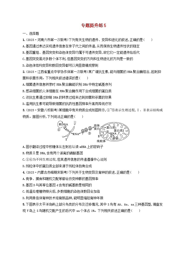 适用于老高考旧教材2024版高考生物二轮复习专题提升练5遗传的分子基础变异与进化（附解析）01