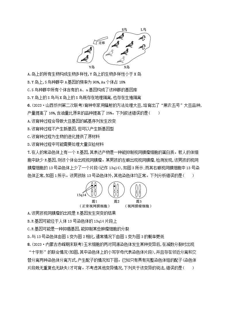 适用于老高考旧教材2024版高考生物二轮复习专题提升练5遗传的分子基础变异与进化（附解析）02