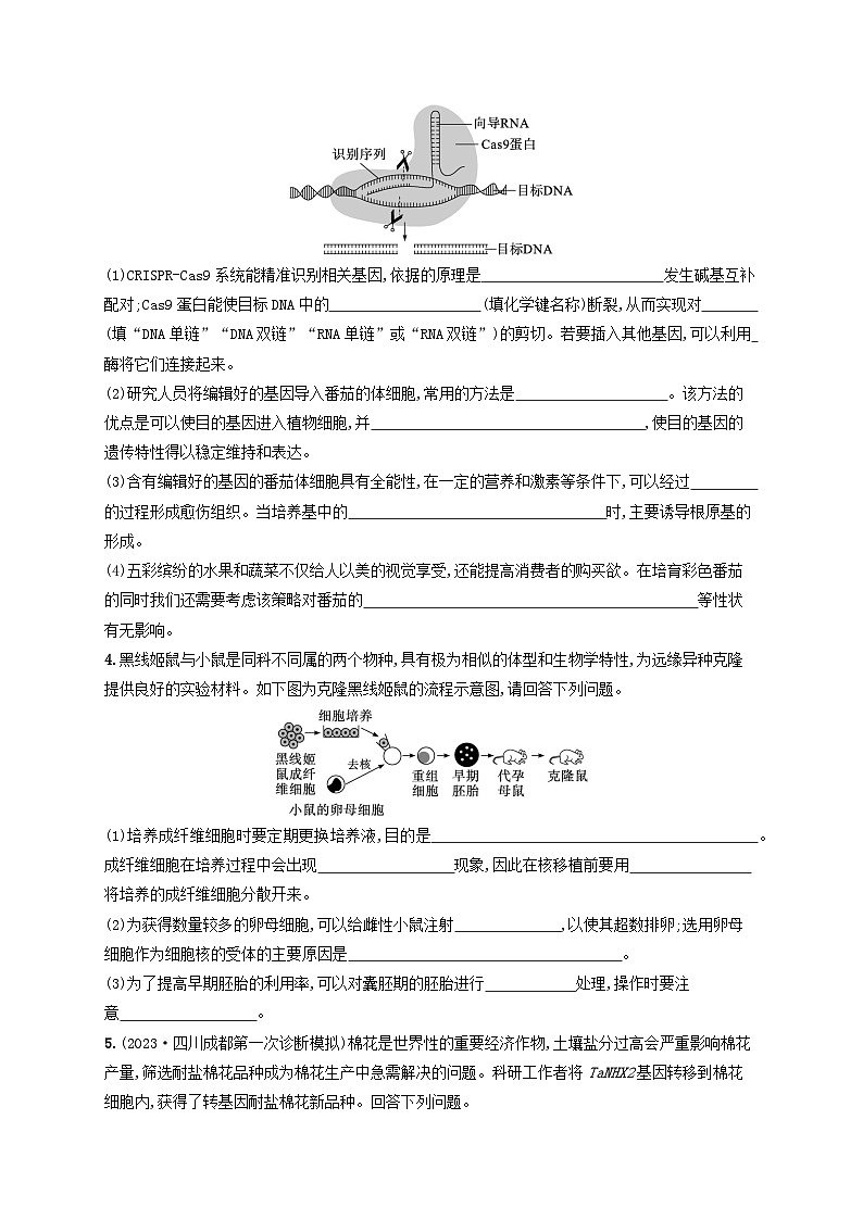 适用于老高考旧教材2024版高考生物二轮复习专题提升练10现代生物科技专题A（附解析）第2页
