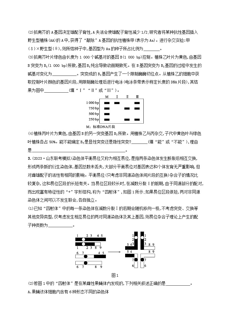 适用于新高考新教材2024版高考生物二轮复习大题分析与表达练3变异与育种（附解析）第2页