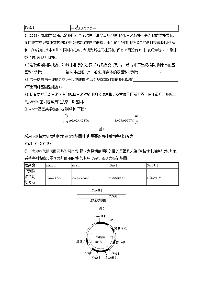 适用于新高考新教材2024版高考生物二轮复习大题分析与表达练6基因工程类大题突破（附解析）第2页