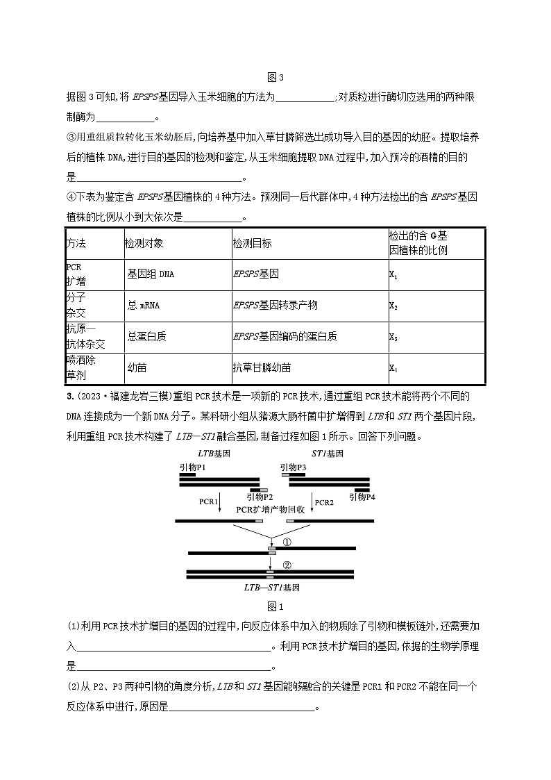 适用于新高考新教材2024版高考生物二轮复习大题分析与表达练6基因工程类大题突破（附解析）第3页