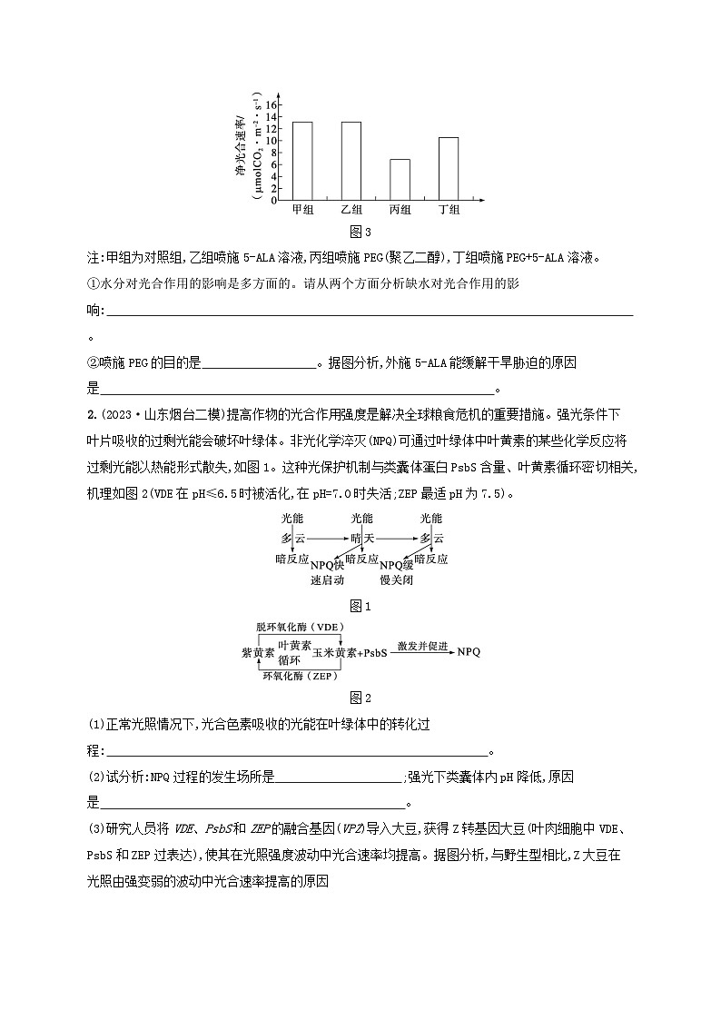 适用于新高考新教材2024版高考生物二轮复习大题分析与表达练1细胞代谢（附解析）第2页