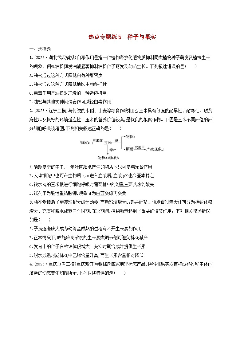 适用于新高考新教材2024版高考生物二轮复习热点专题练5种子与果实（附解析）第1页