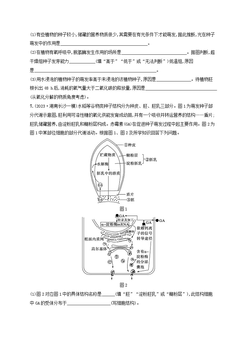 适用于新高考新教材2024版高考生物二轮复习热点专题练5种子与果实（附解析）第3页