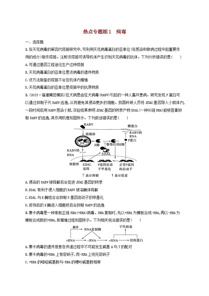 适用于新高考新教材2024版高考生物二轮复习热点专题练1病毒（附解析）第1页