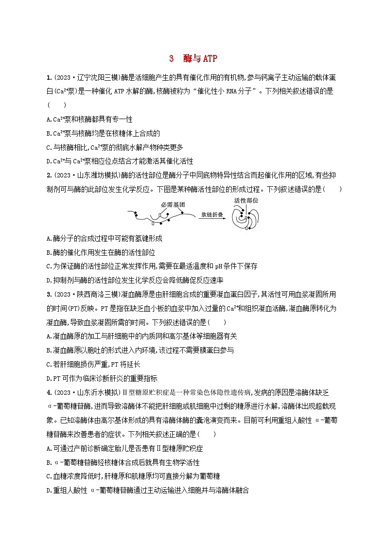 适用于新高考新教材2024版高考生物二轮复习知识对点小题练3酶与ATP（附解析）01