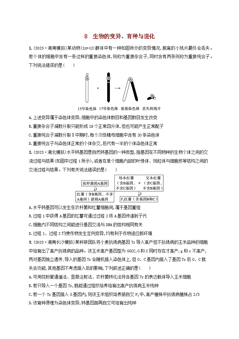 适用于新高考新教材2024版高考生物二轮复习知识对点小题练8生物的变异育种与进化（附解析）第1页