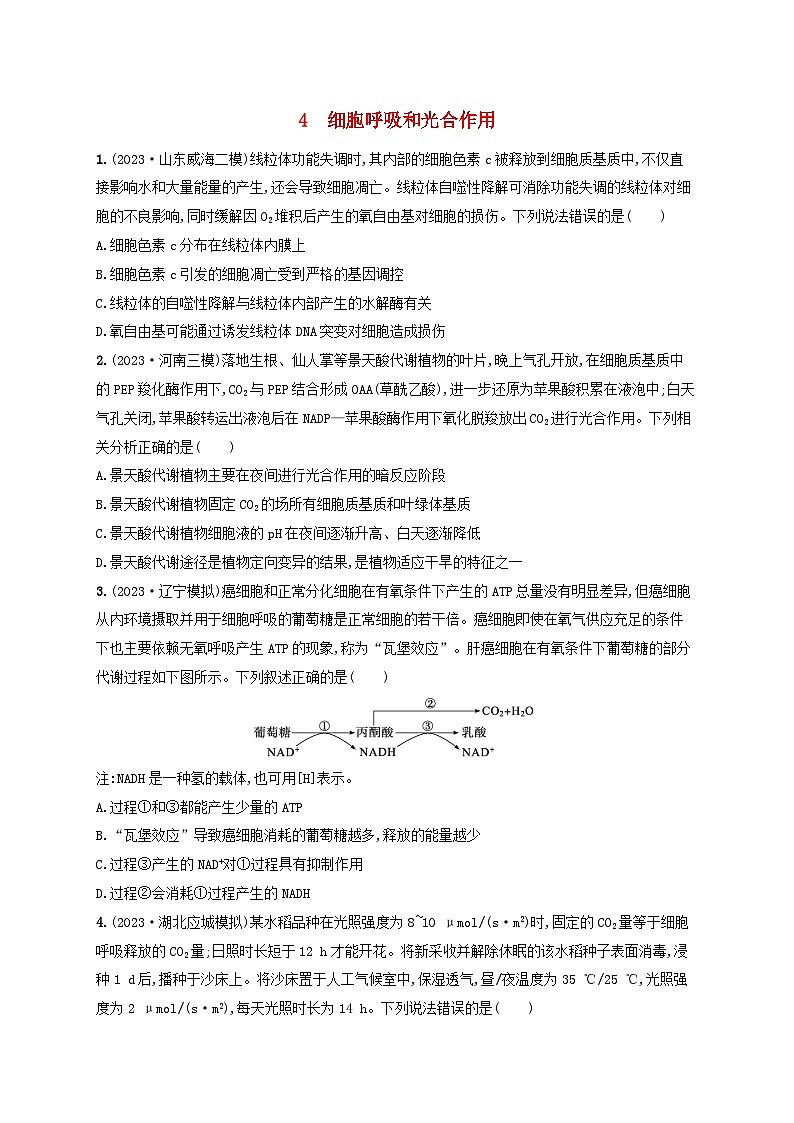 适用于新高考新教材2024版高考生物二轮复习知识对点小题练4细胞呼吸和光合作用（附解析）第1页