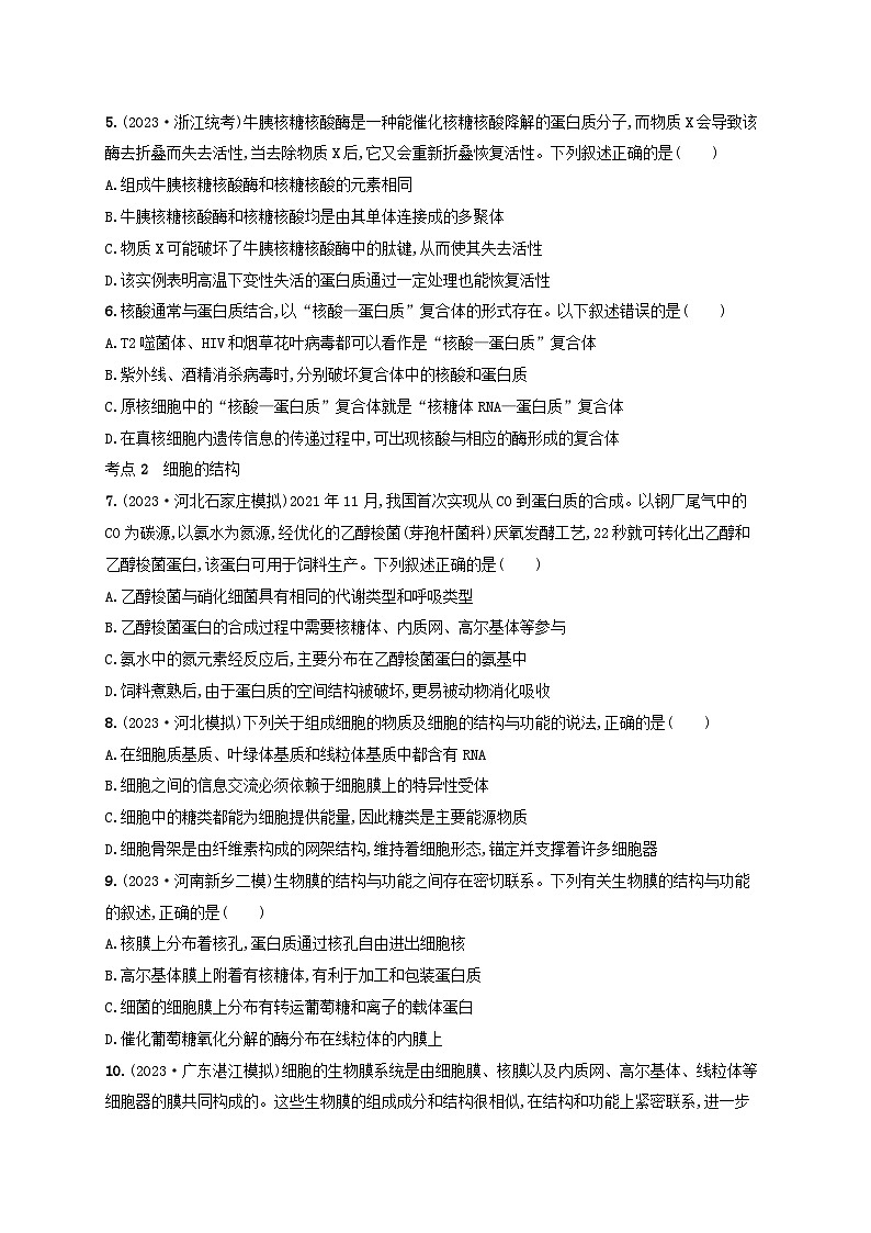 适用于新高考新教材2024版高考生物二轮复习专题突破练1细胞的分子组成结构与物质运输（附解析）第2页