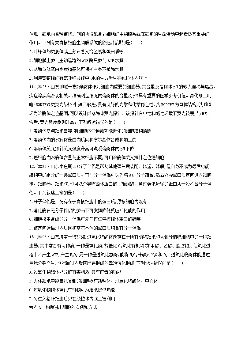 适用于新高考新教材2024版高考生物二轮复习专题突破练1细胞的分子组成结构与物质运输（附解析）第3页