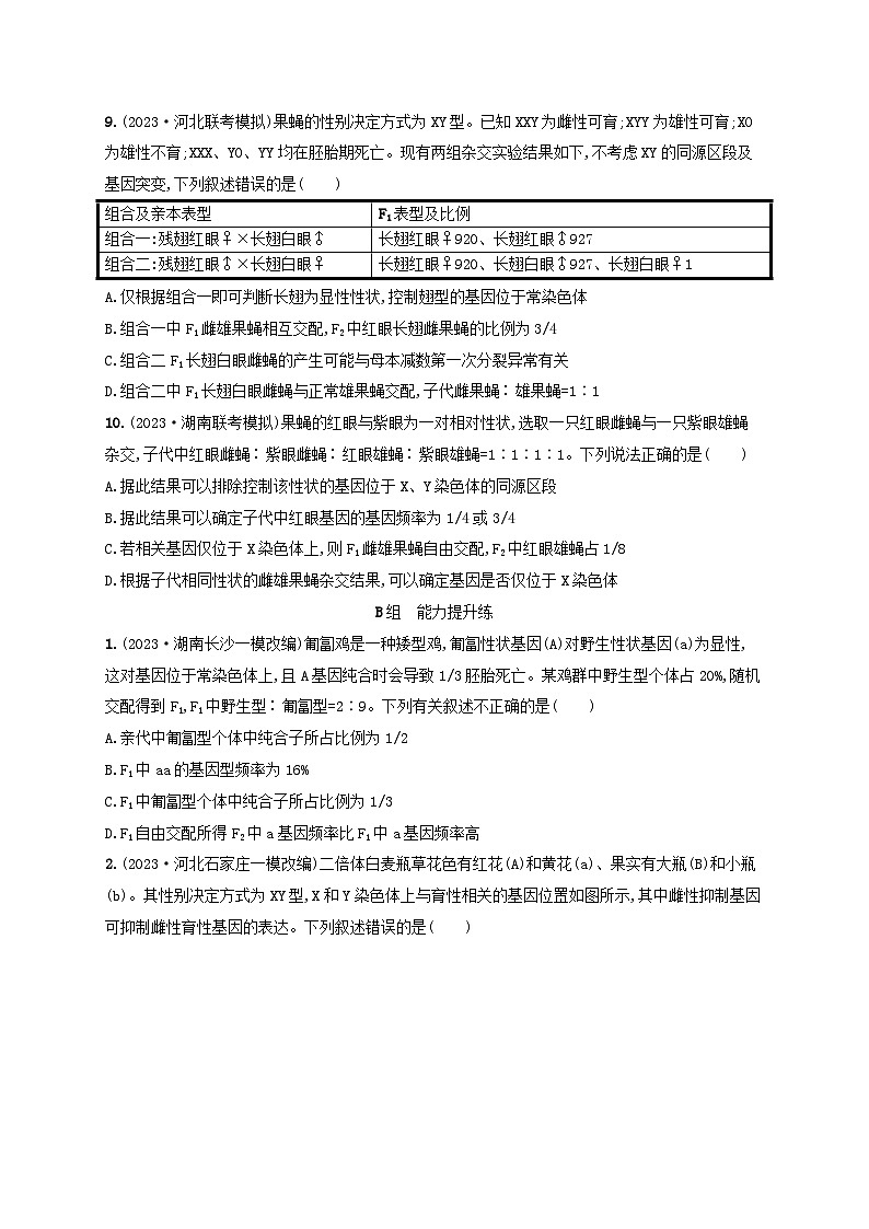 适用于新高考新教材2024版高考生物二轮复习专题突破练4遗传的基本规律和人类遗传病（附解析）第3页
