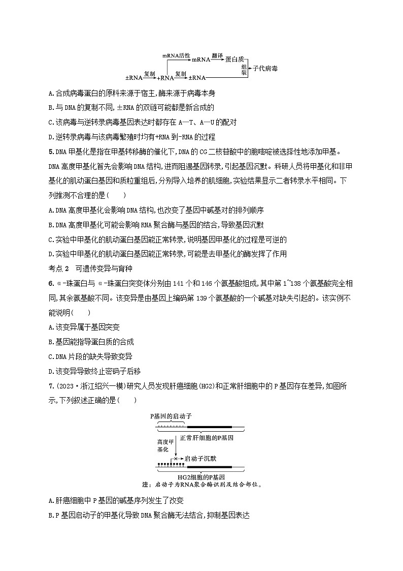 适用于新高考新教材2024版高考生物二轮复习专题突破练5遗传的分子基础变异与进化（附解析）第2页