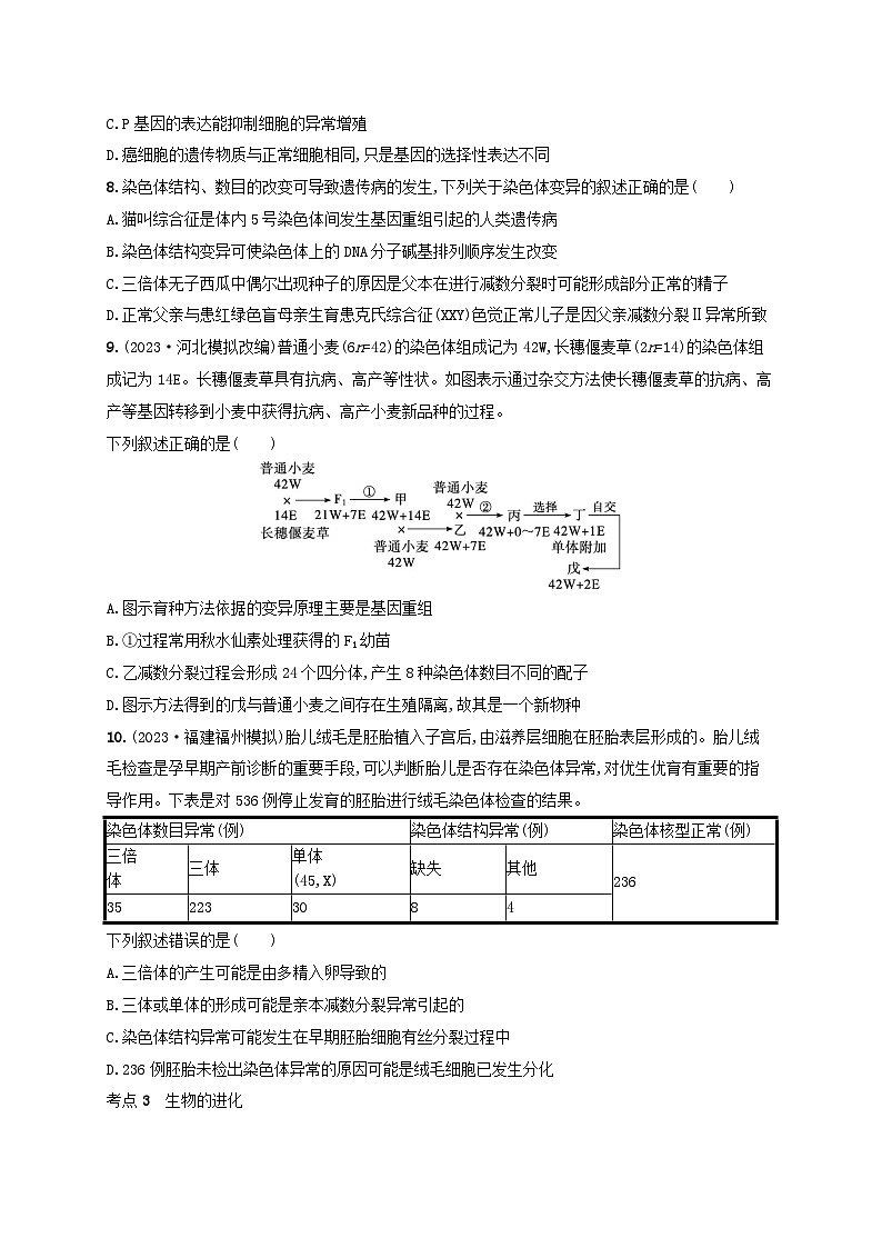 适用于新高考新教材2024版高考生物二轮复习专题突破练5遗传的分子基础变异与进化（附解析）第3页