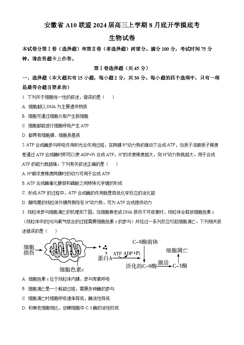 安徽省A10联盟2023-2024学年高三上学期8月开学摸底考试生物试题01